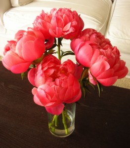 5-8-08 peonies