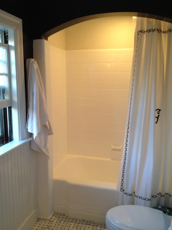 Renovation Update: Bathroom, Paint and Planning Ahead - Elements ...