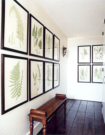 markham-roberts-fern-prints-hb1008-pc-francesco-lagnese