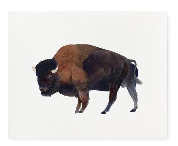 72830-buffalo-agl-weba_grande